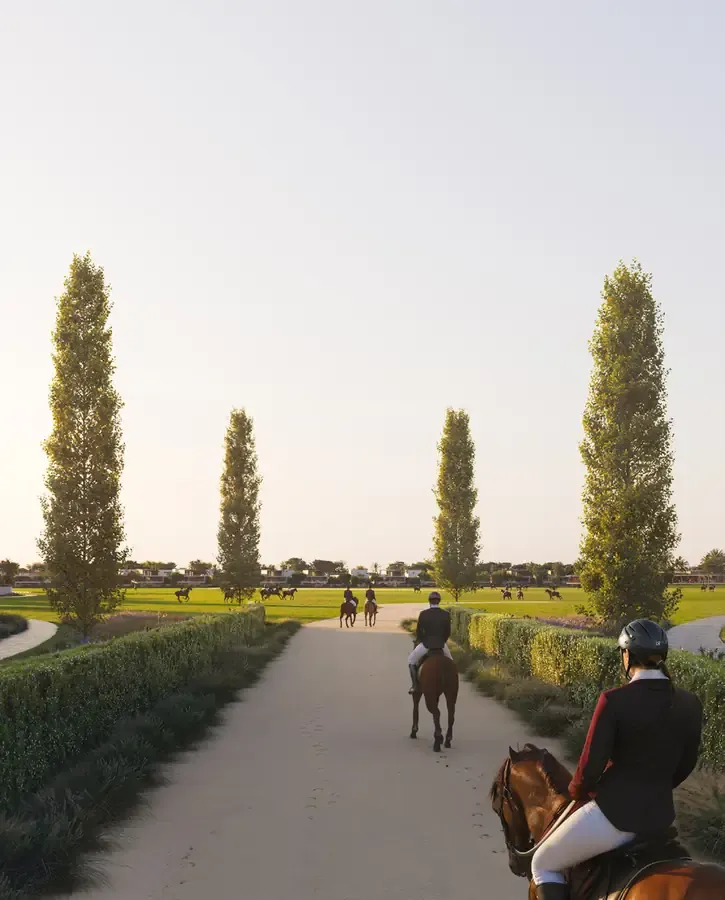 Amenities 1
